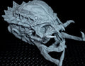 Predator Schädel Trophäe DIY Cosplay – 3D Druck – Trophy – Fanartikel0